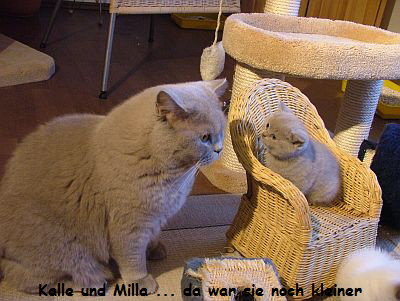 Kalle und Milla