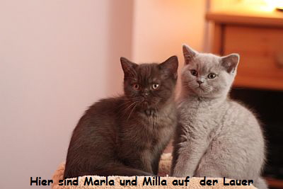 Marla und Milla