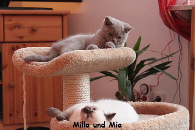 Mia und Milla
