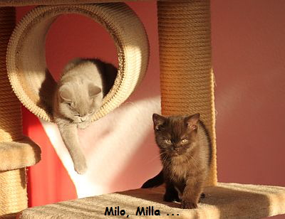 Milla und Marla