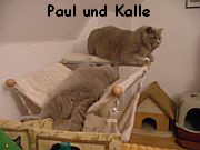 Paule und Kalle