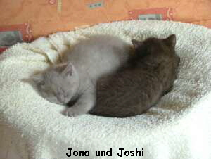 Jona und Joshi