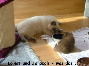 Loriot und Janosch - was das ...