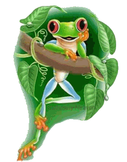frosch1_gro�